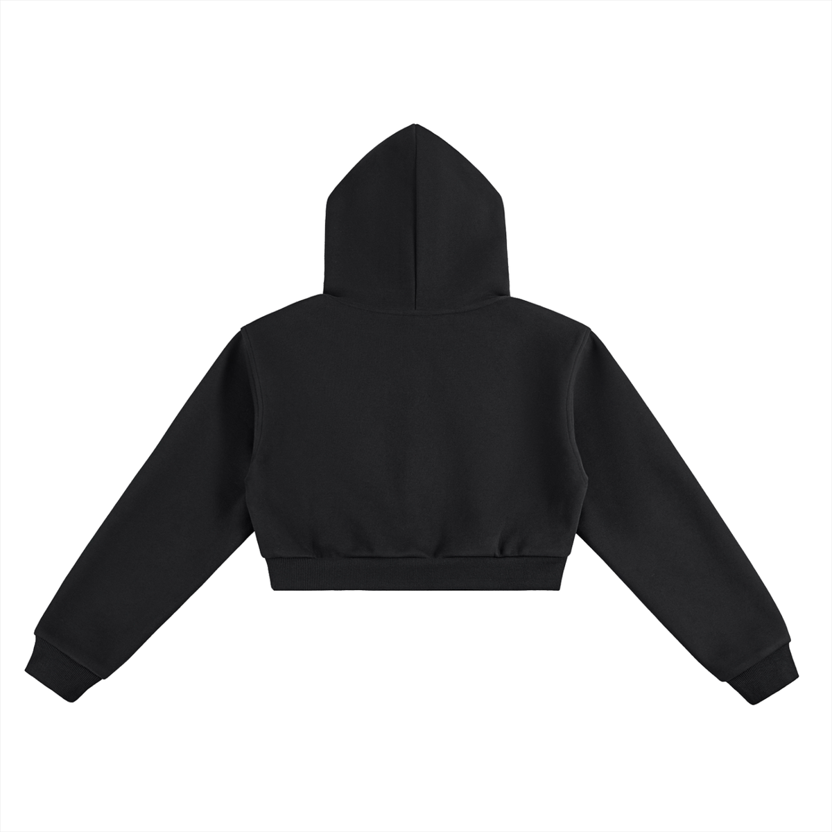 CROPPPED CROWN HOOD
